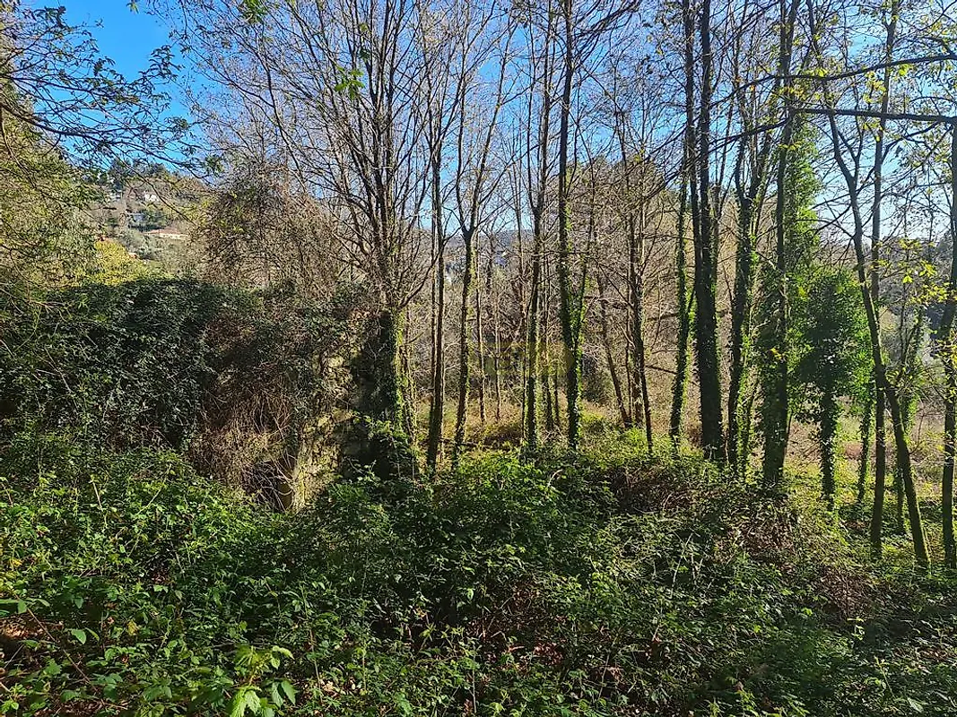 Moradia T0 à venda em Labruja, Ponte de Lima — foto 29