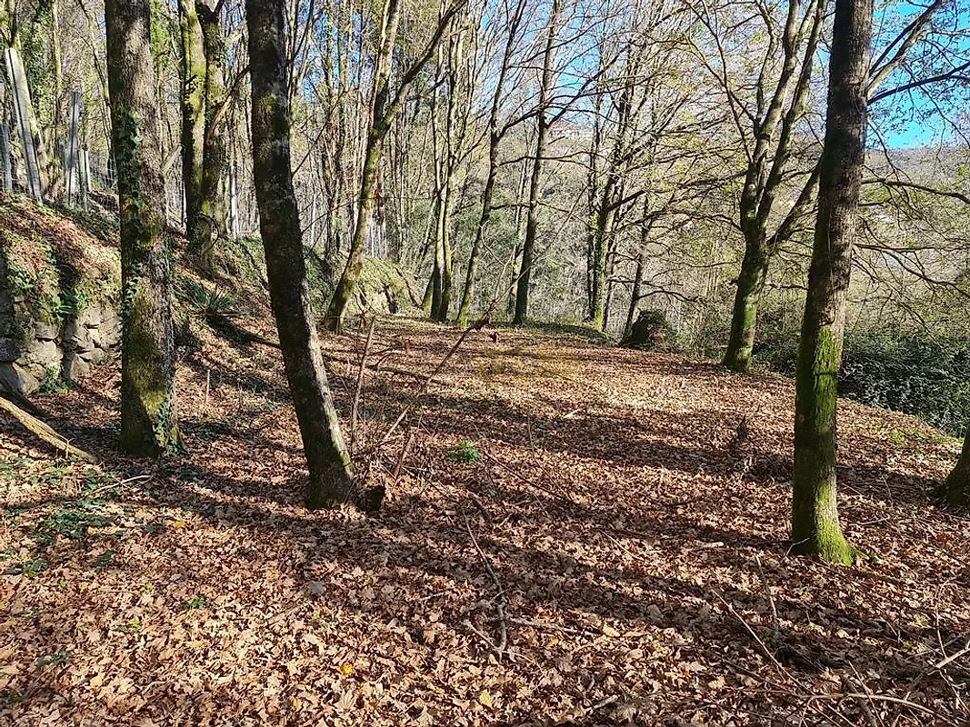 Moradia T0 à venda em Labruja, Ponte de Lima — foto 30