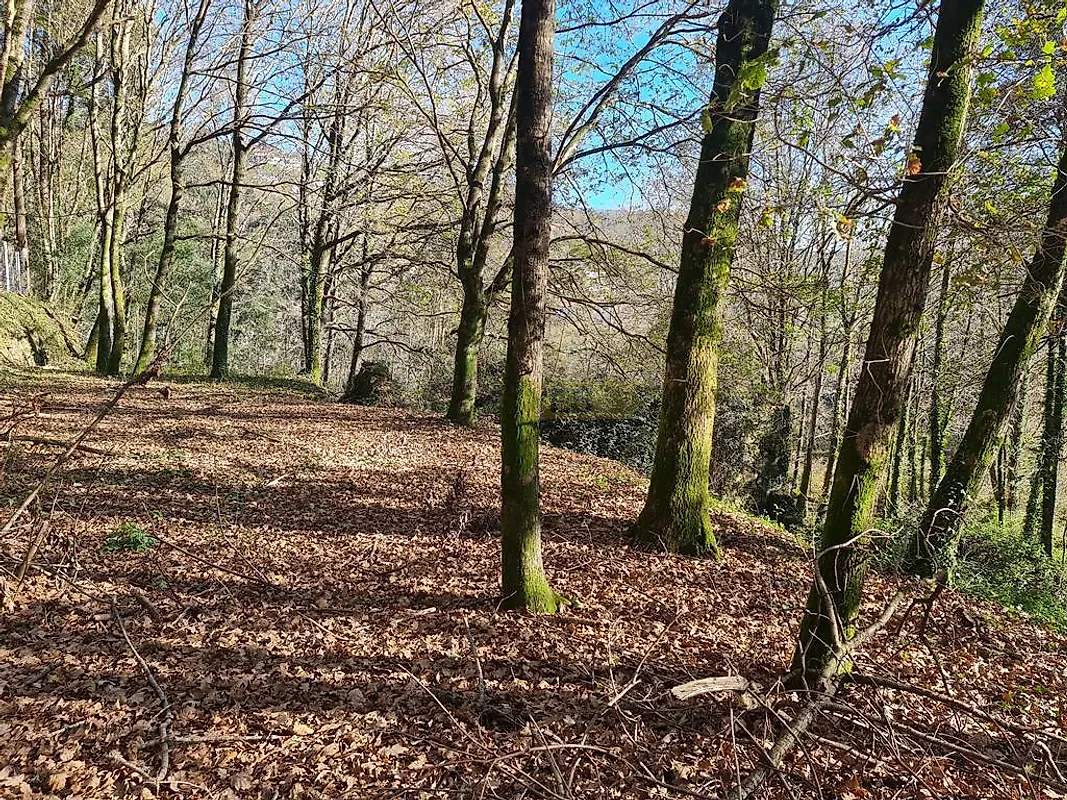 Moradia T0 à venda em Labruja, Ponte de Lima — foto 31