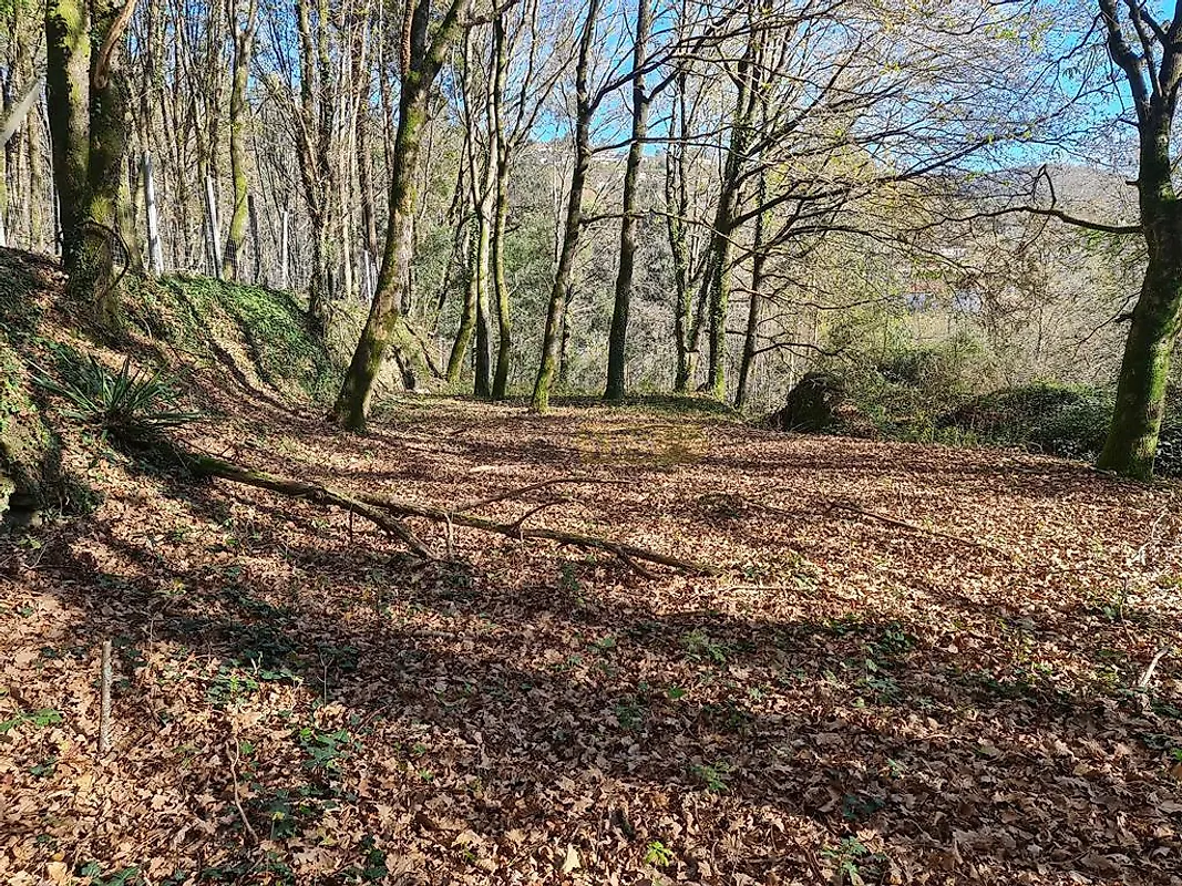 Moradia T0 à venda em Labruja, Ponte de Lima — foto 32