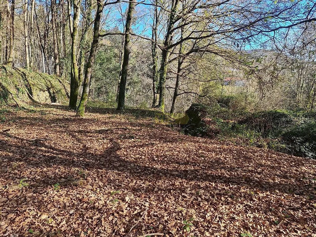 Moradia T0 à venda em Labruja, Ponte de Lima — foto 33