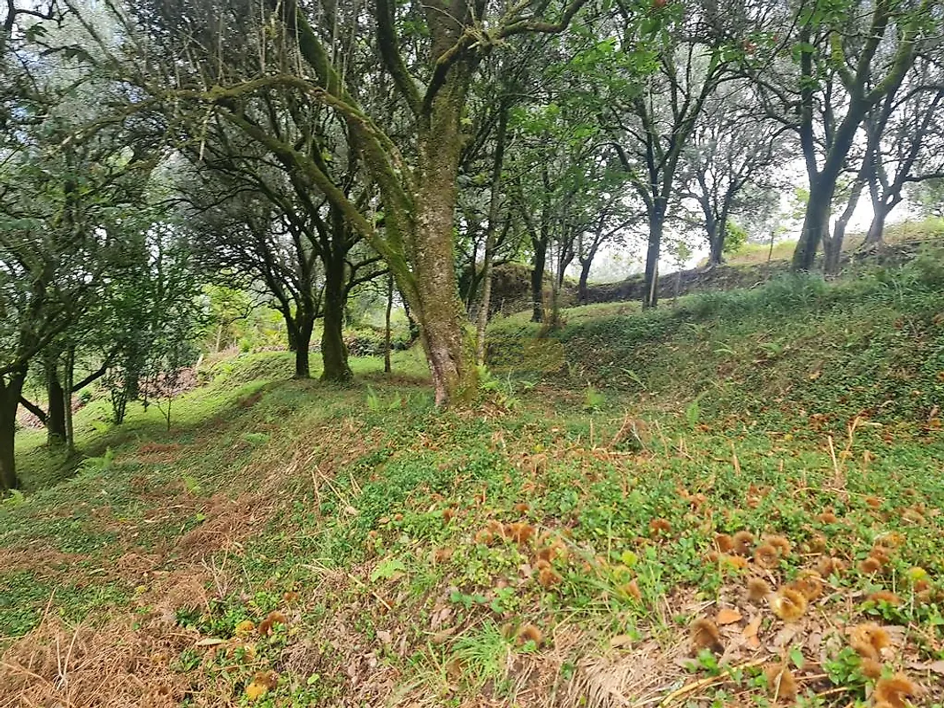 Moradia T3 à venda em Labruja, Ponte de Lima — foto 35