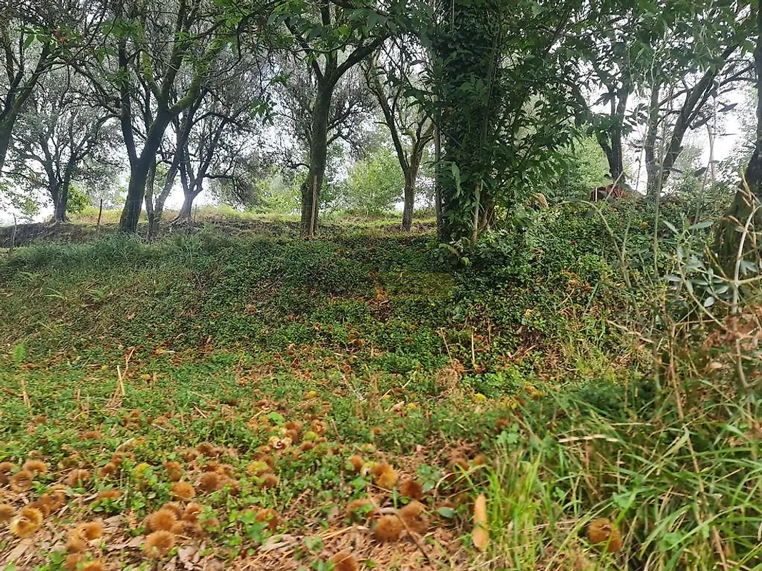Moradia T3 à venda em Labruja, Ponte de Lima — foto 36