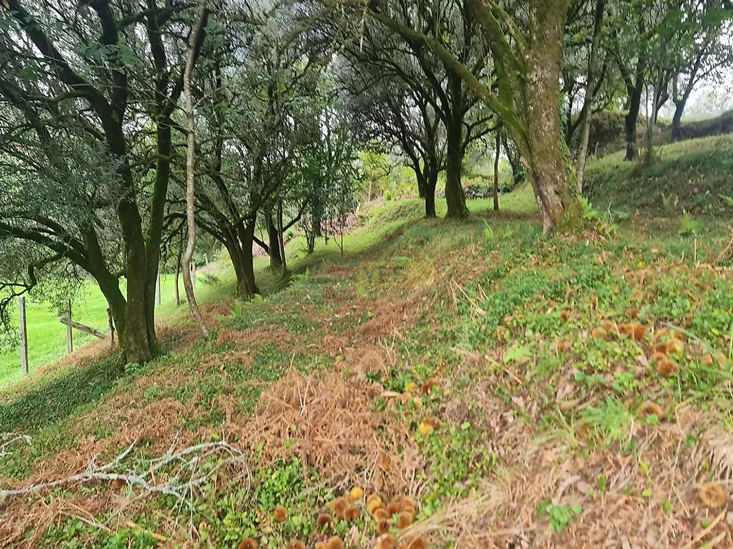 Moradia T3 à venda em Labruja, Ponte de Lima — foto 37