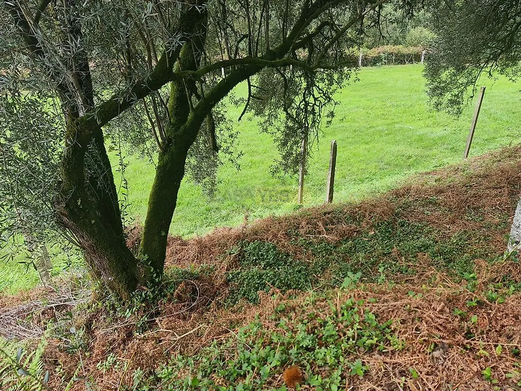 Moradia T3 à venda em Labruja, Ponte de Lima — foto 38