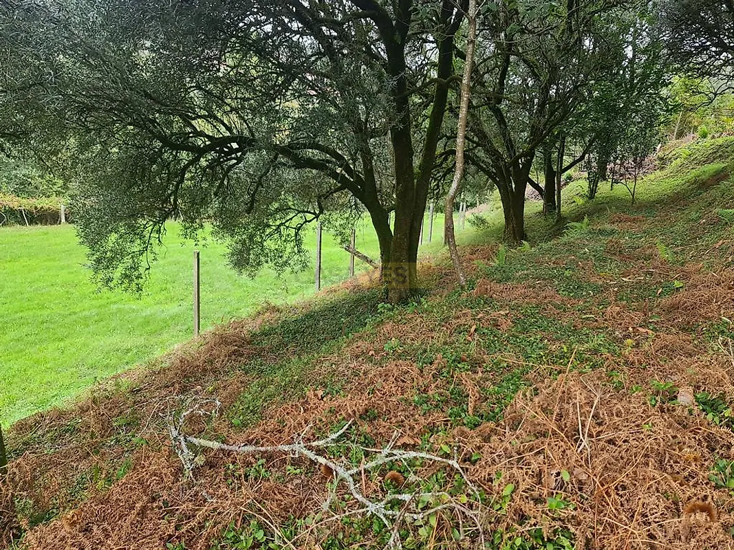 Moradia T3 à venda em Labruja, Ponte de Lima — foto 39