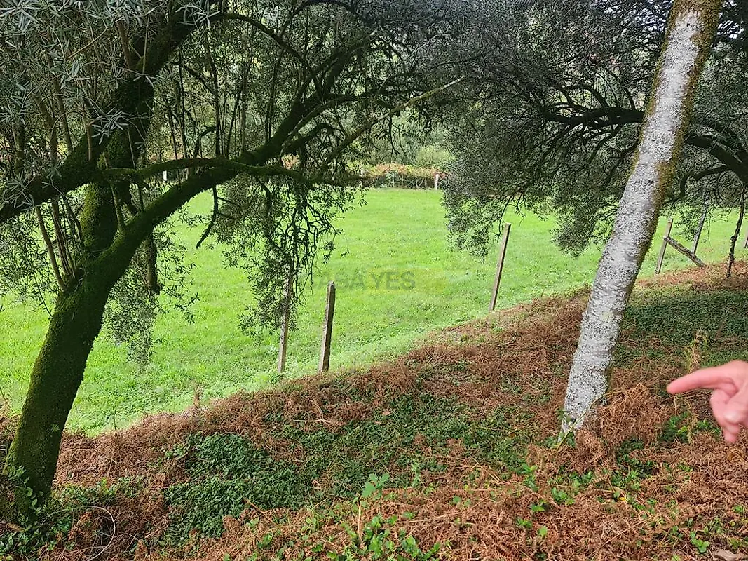 Moradia T3 à venda em Labruja, Ponte de Lima — foto 40