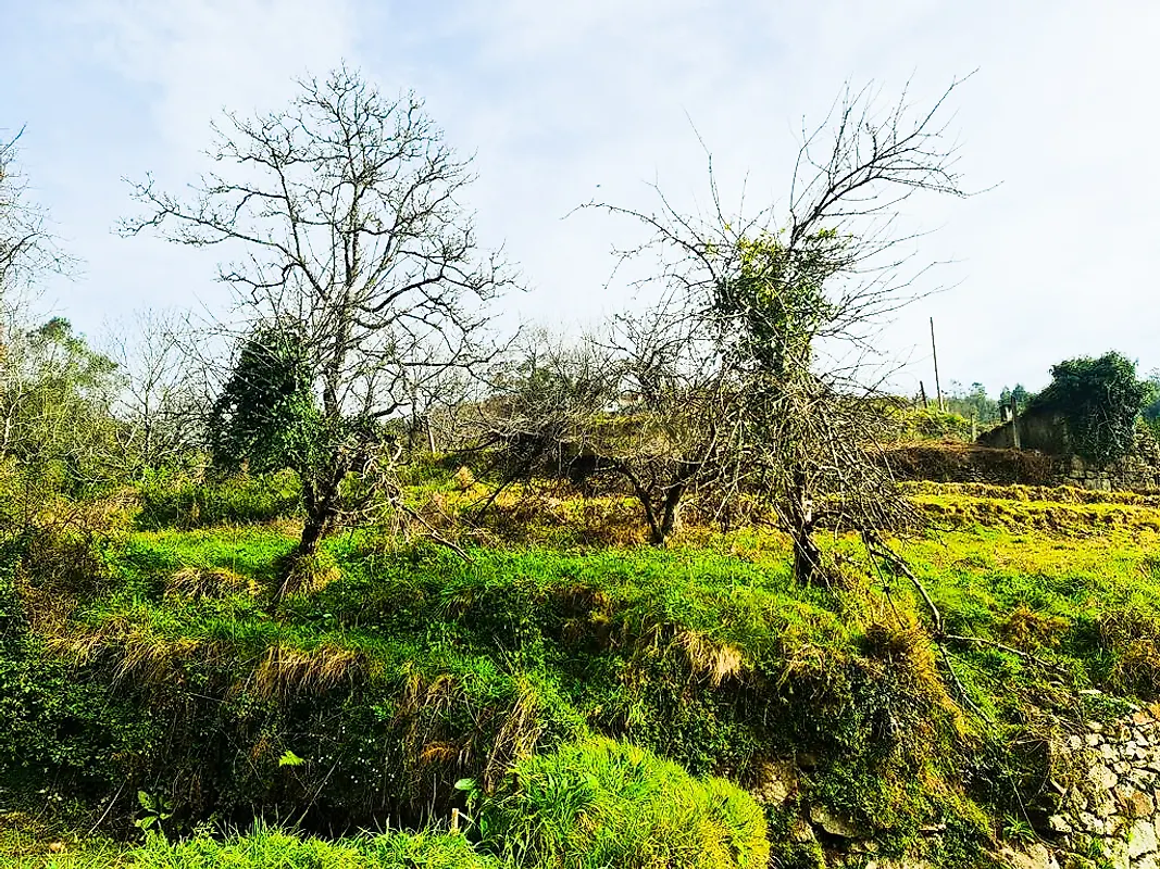 Moradia T0 à venda em Labrujó, Rendufe e Vilar do Monte, Ponte de Lima — foto 3
