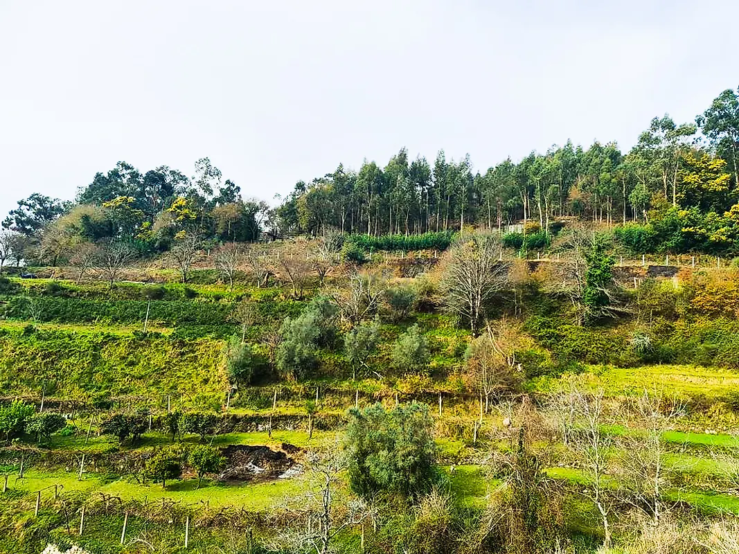 Moradia T0 à venda em Labrujó, Rendufe e Vilar do Monte, Ponte de Lima — foto 9