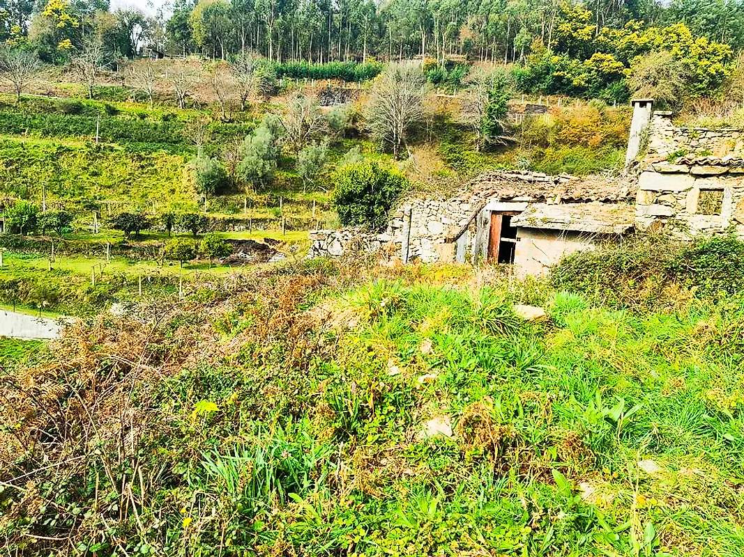 Moradia T0 à venda em Labrujó, Rendufe e Vilar do Monte, Ponte de Lima — foto 11