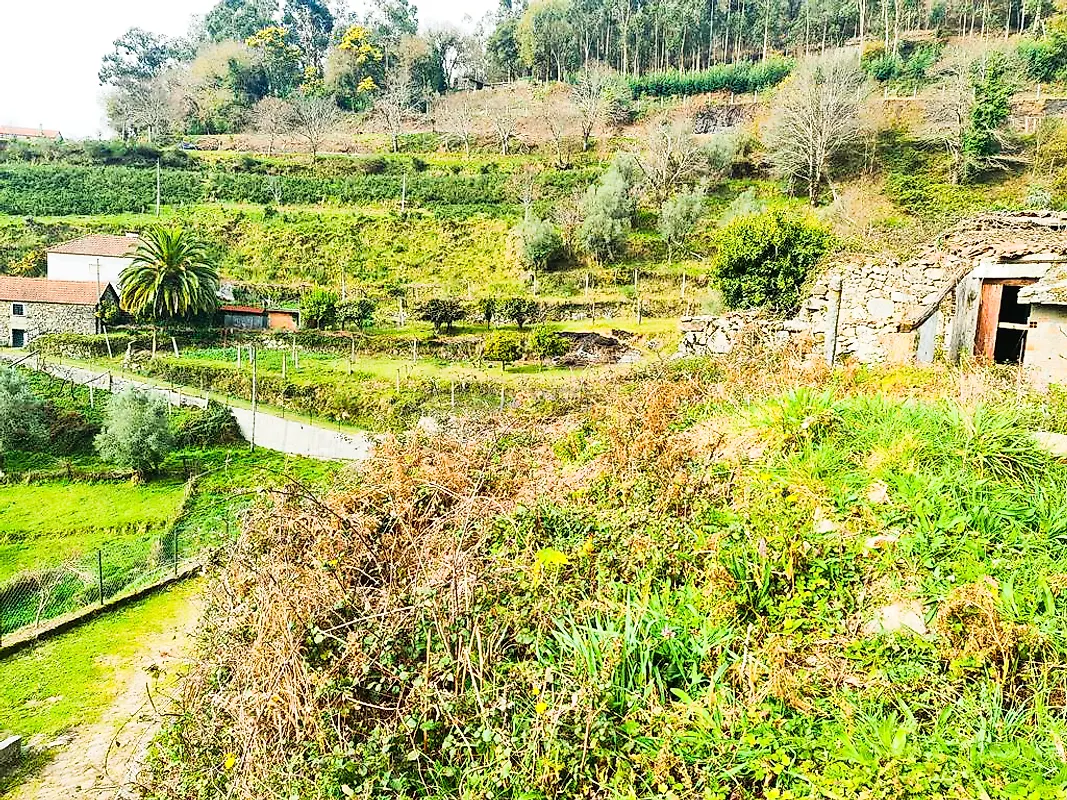 Moradia T0 à venda em Labrujó, Rendufe e Vilar do Monte, Ponte de Lima — foto 12