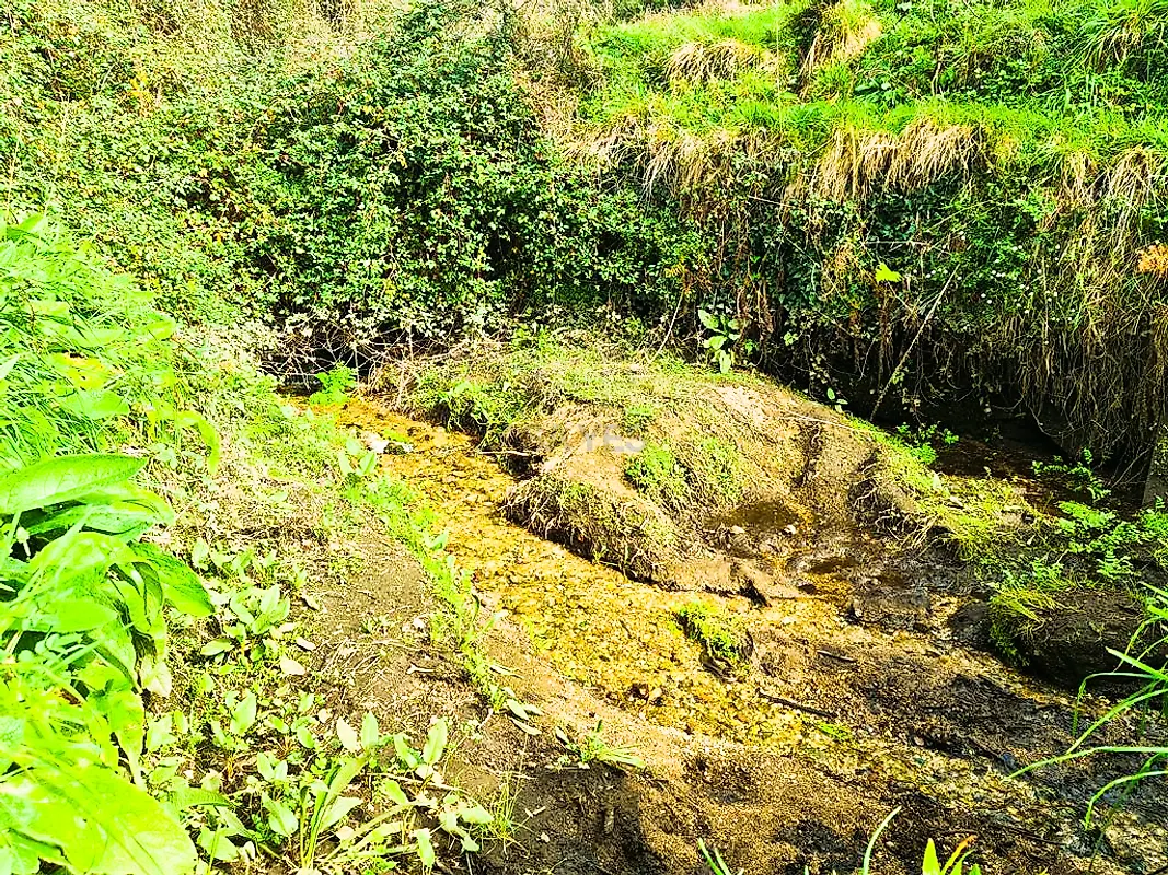 Moradia T0 à venda em Labrujó, Rendufe e Vilar do Monte, Ponte de Lima — foto 13