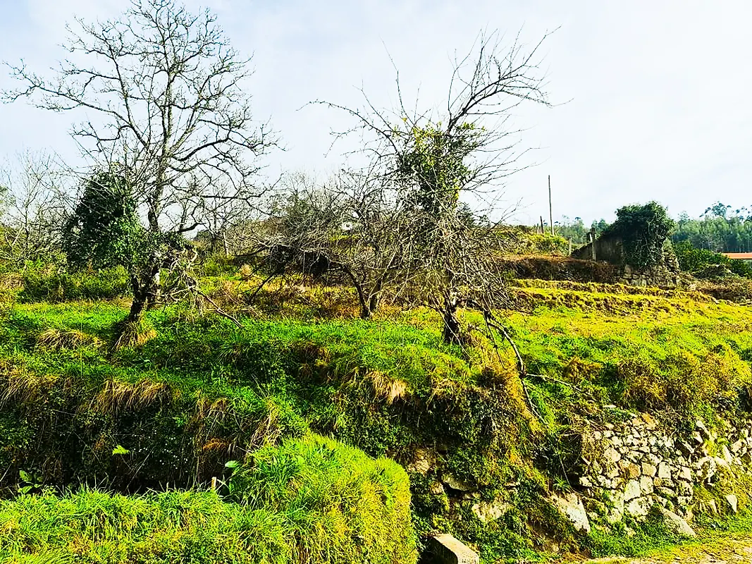 Moradia T0 à venda em Labrujó, Rendufe e Vilar do Monte, Ponte de Lima — foto 18