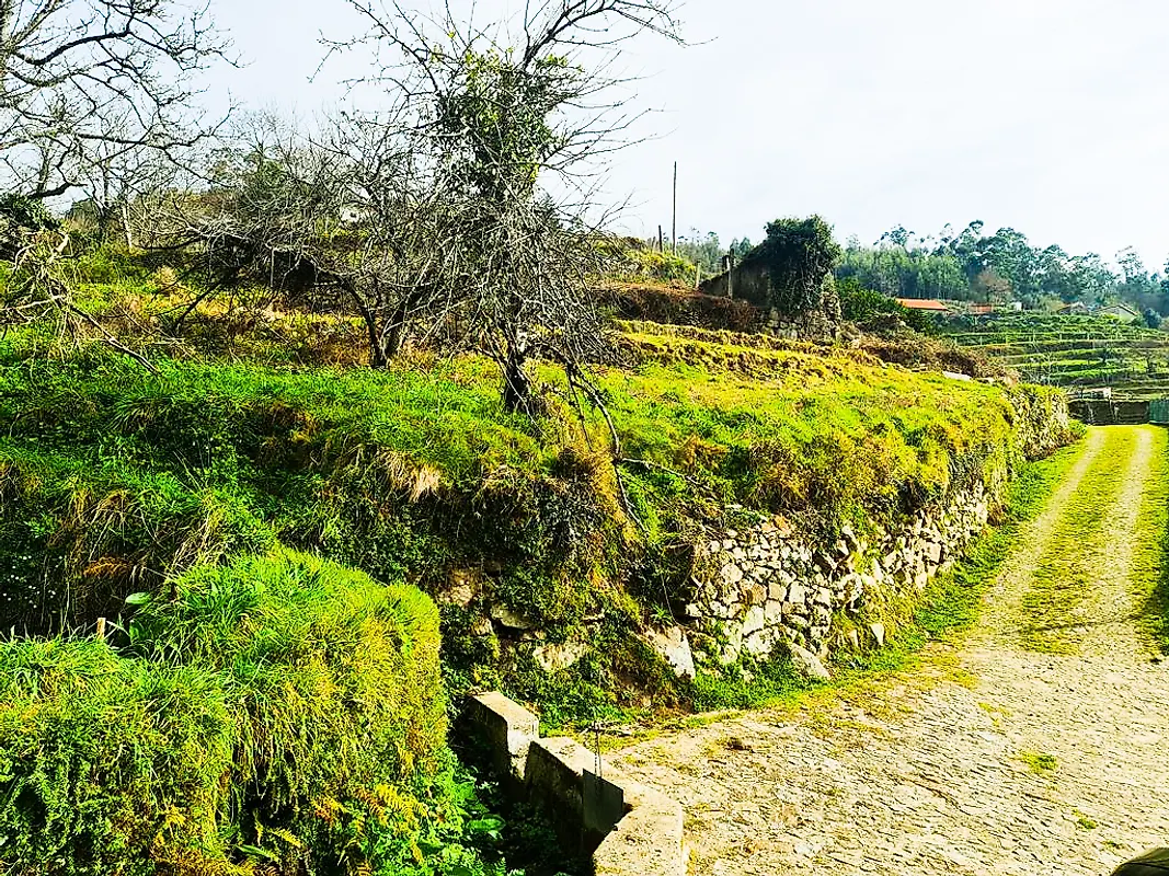 Moradia T0 à venda em Labrujó, Rendufe e Vilar do Monte, Ponte de Lima — foto 19