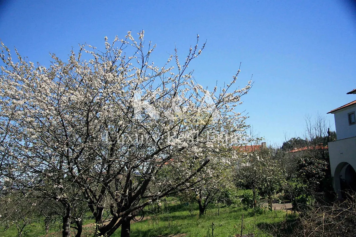 Apartamento T5 à venda em Galegos, Penafiel — foto 18