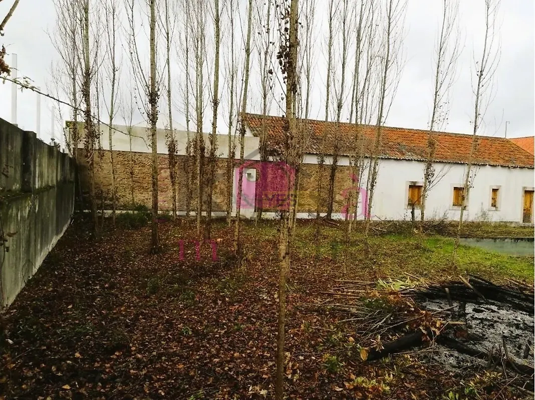 Moradia T6+ à venda em Santa Margarida da Coutada, Constância — foto 10