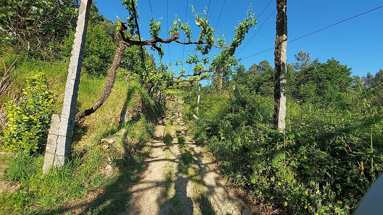 Moradia T0 à venda em Macieira da Lixa e Caramos, Felgueiras — foto 3