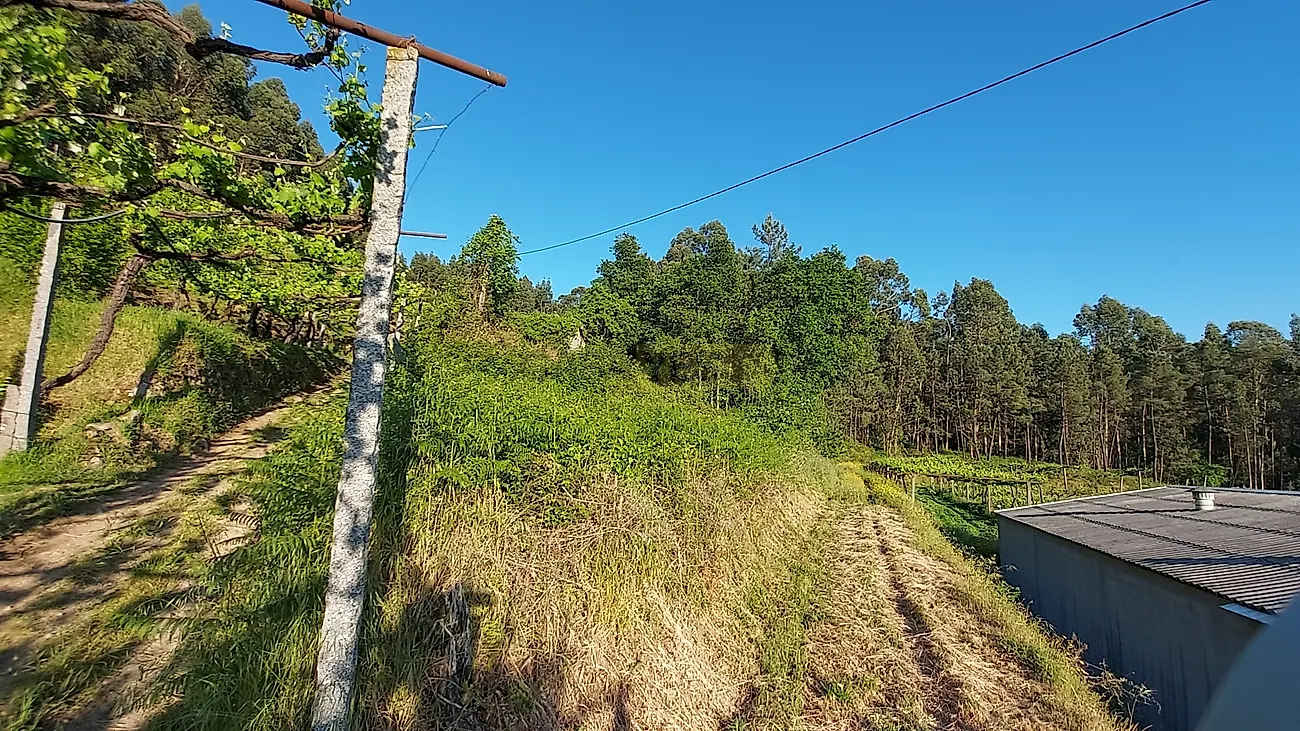 Moradia T0 à venda em Macieira da Lixa e Caramos, Felgueiras — foto 5