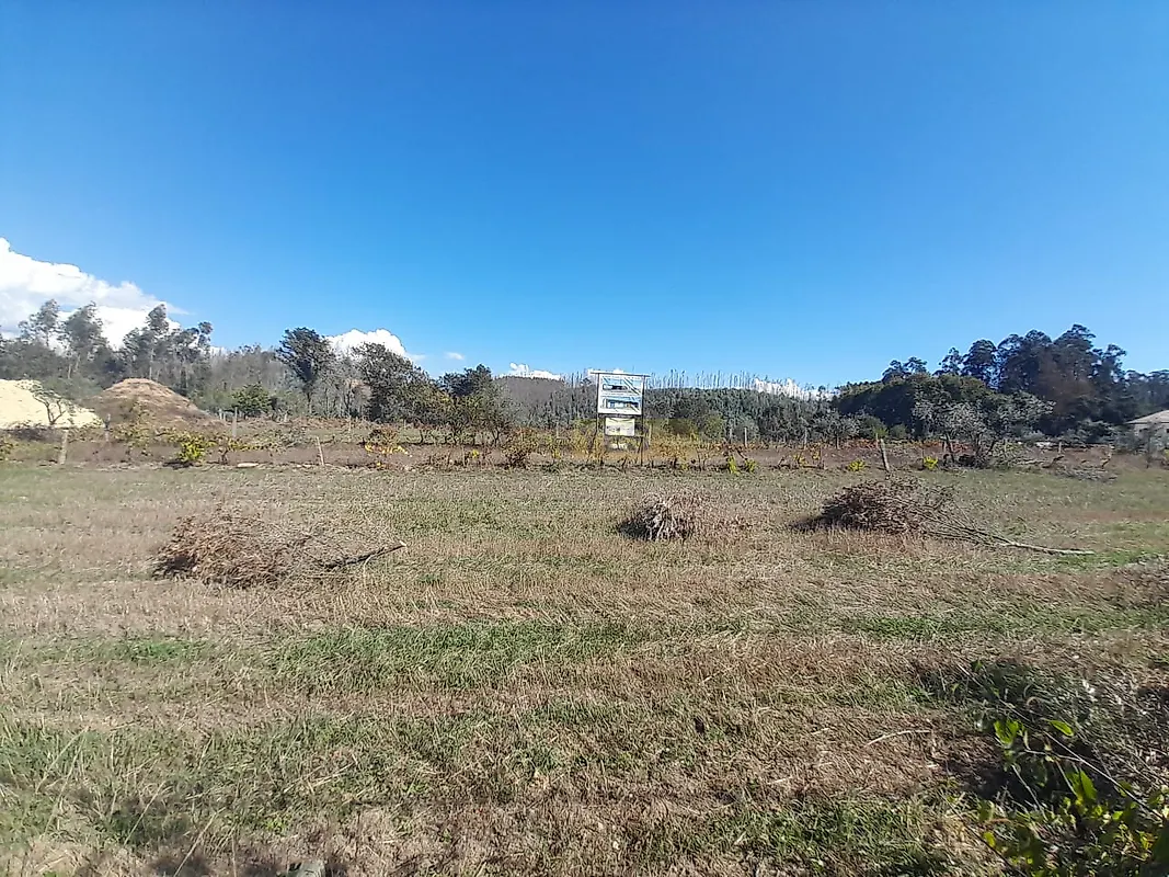 Moradia T3 à venda em Macinhata do Vouga, Águeda — foto 7