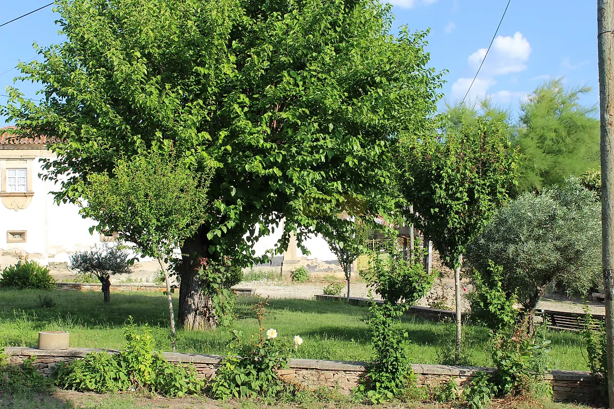 Moradia T3 à venda em Avantos e Romeu, Mirandela — foto 26