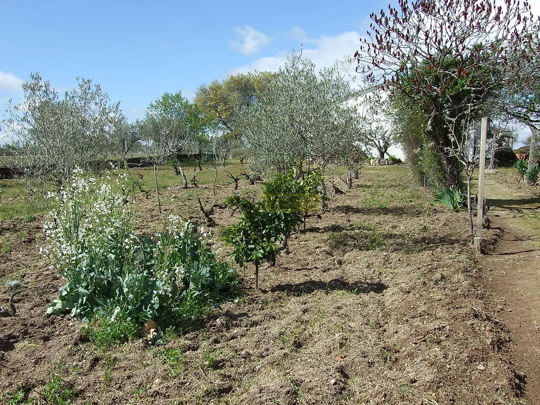 Moradia T4 à venda em Rebordelo, Vinhais — foto 23