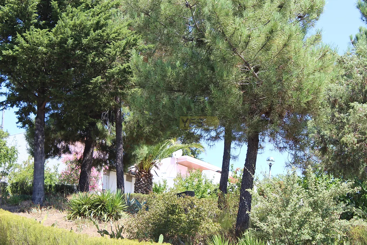 Moradia T3 à venda em Bemposta, Mogadouro — foto 8