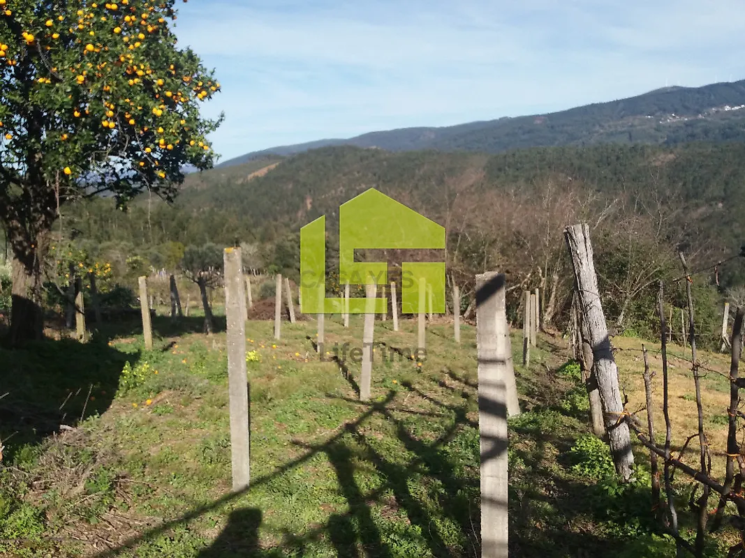 Moradia T0 à venda em Vila Nova, Miranda do Corvo — foto 2