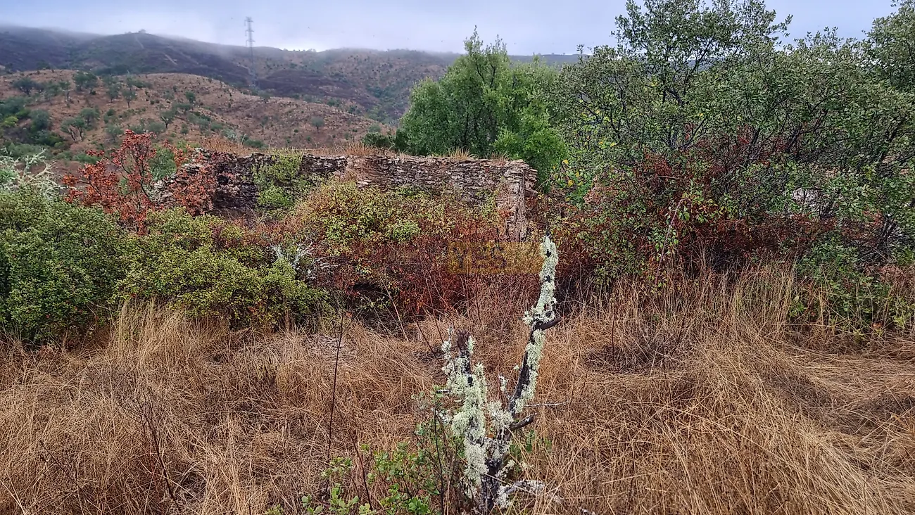 Moradia T4 à venda em Santa Clara-a-Nova e Gomes Aires, Almodôvar — foto 15