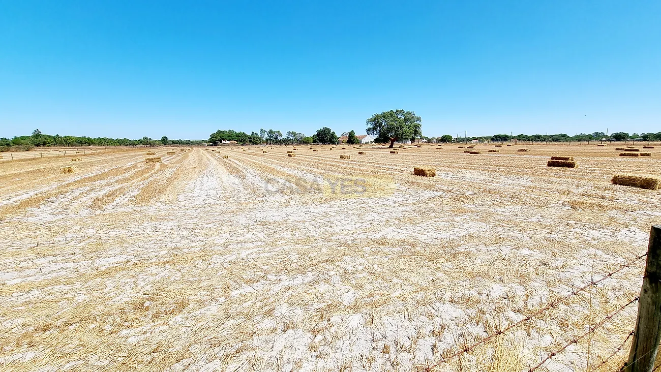 Apartamento T5 à venda em Grândola e Santa Margarida da Serra, Grândola — foto 16