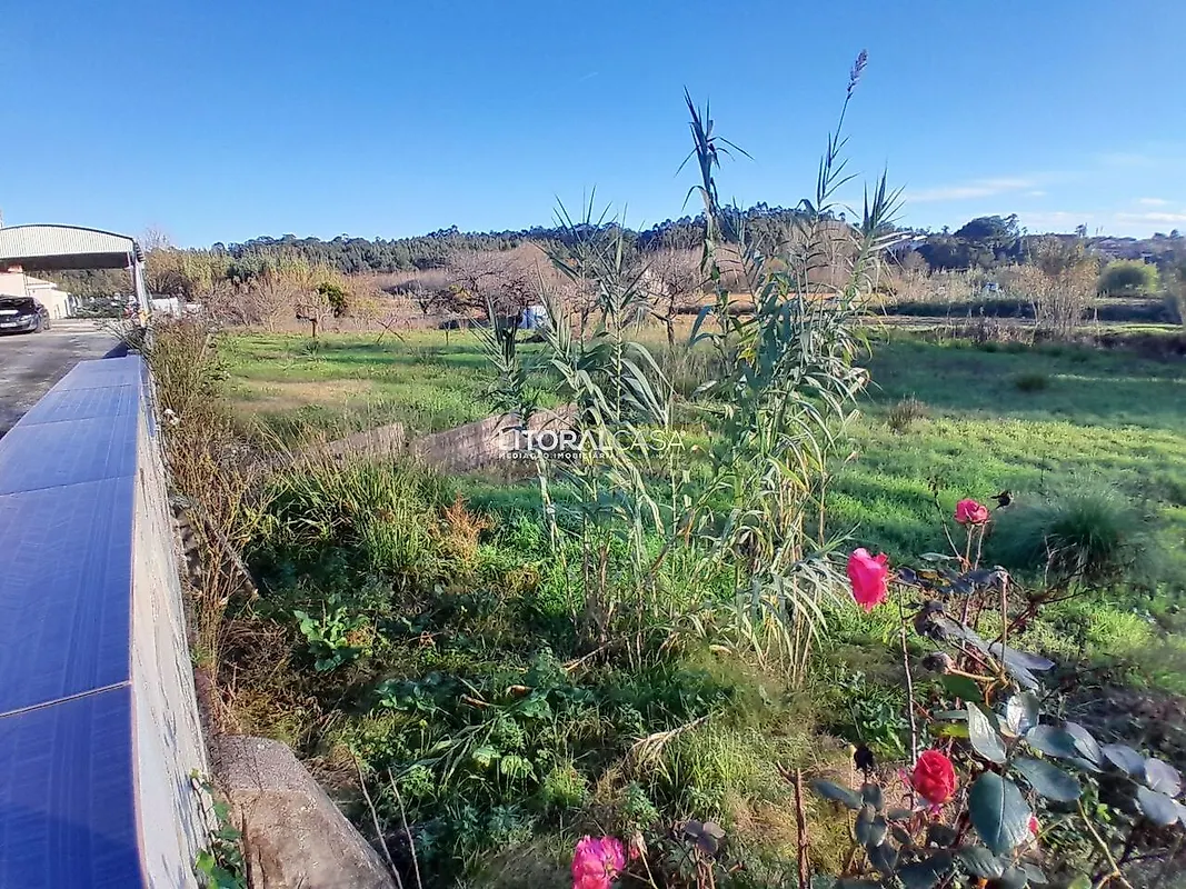 Moradia T5 à venda em Oiã, Oliveira do Bairro — foto 40