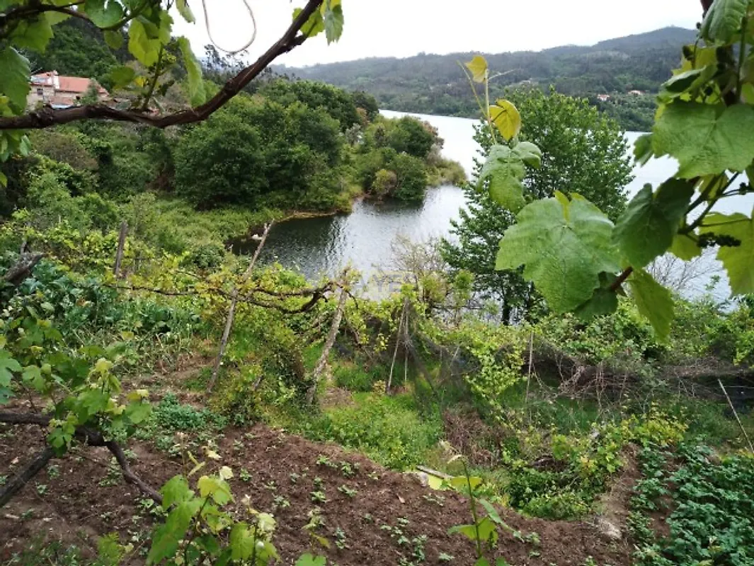 Moradia T2 à venda em Couto de Esteves, Sever do Vouga — foto 4
