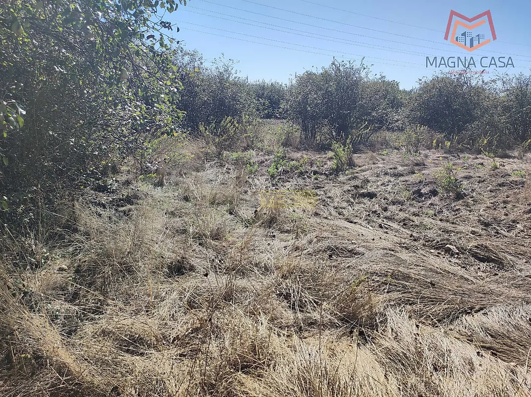 Moradia T6+ à venda em Abrantes (São Vicente e São João) e Alferrarede, Abrantes — foto 14