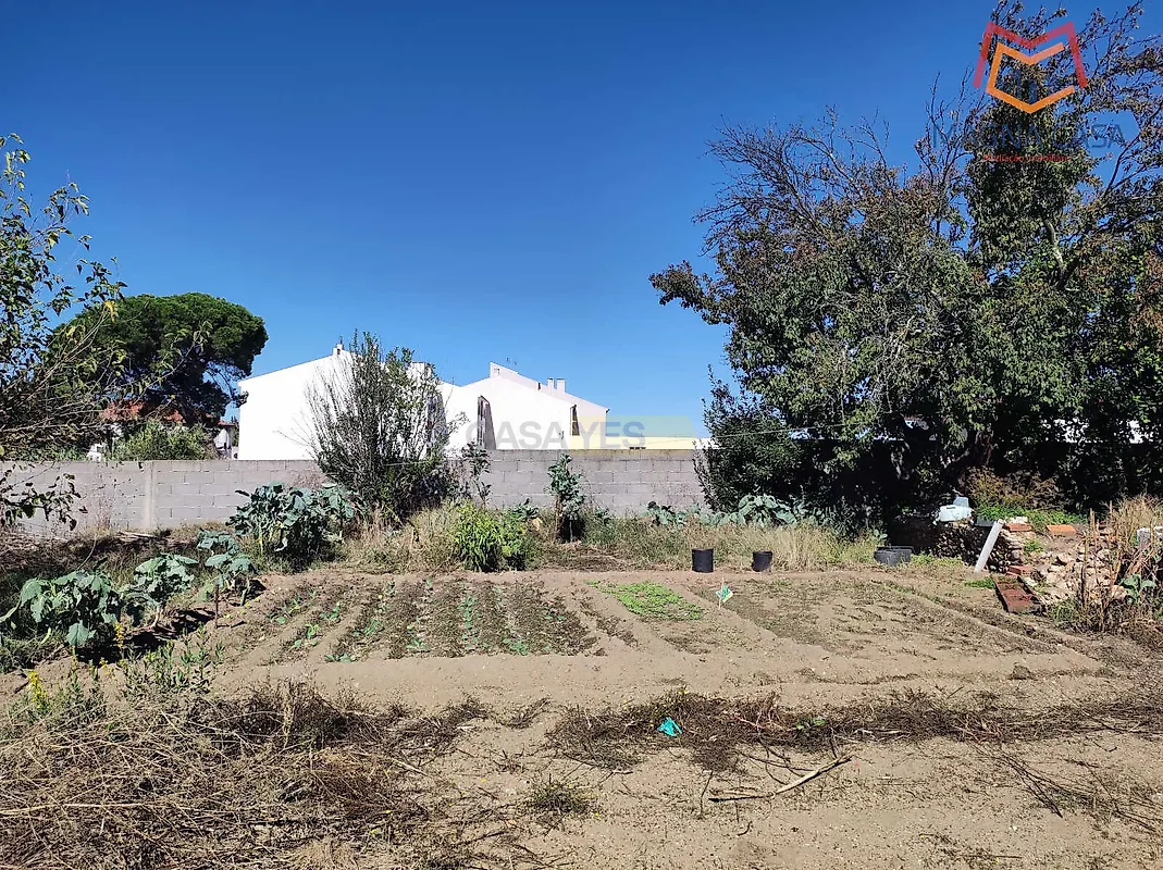 Moradia T6+ à venda em Abrantes (São Vicente e São João) e Alferrarede, Abrantes — foto 17