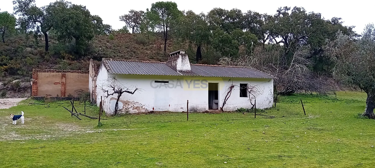 Apartamento T1 à venda em Galveias, Ponte de Sor — foto 3