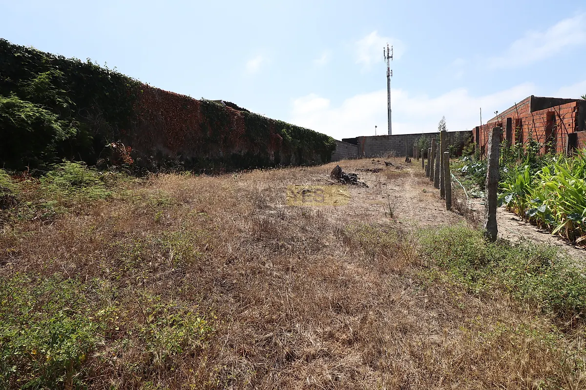 Moradia T1 à venda em Ovar, São João, Arada e São Vicente de Pereira Jusã, Ovar — foto 18