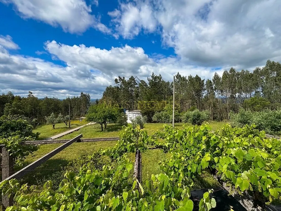 Moradia T3 à venda em Cumeeira, Penela — foto 12