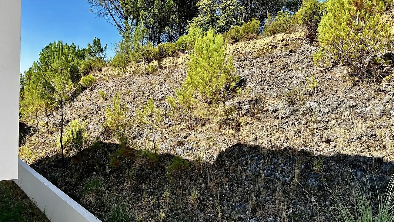 Moradia T4 à venda em Coimbra (Sé Nova, Santa Cruz, Almedina e São Bartolomeu), Coimbra — foto 22
