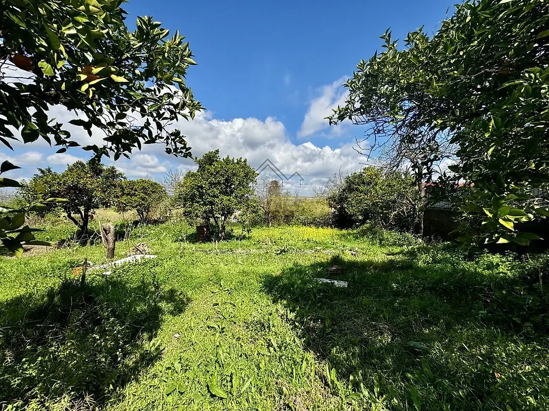 Moradia T4 à venda em Abrunheira, Verride e Vila Nova da Barca, Montemor-o-Velho — foto 12