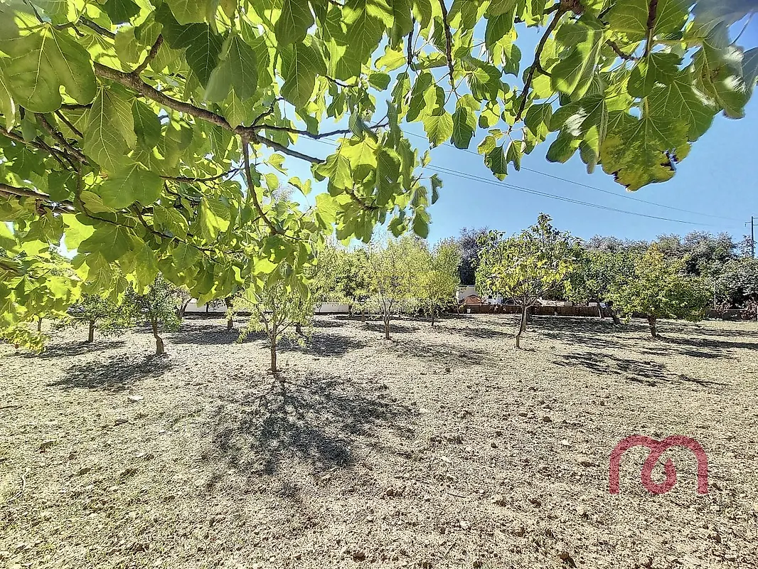 Apartamento T2 à venda em Nossa Senhora da Conceição e São Bartolomeu, Vila Viçosa — foto 27