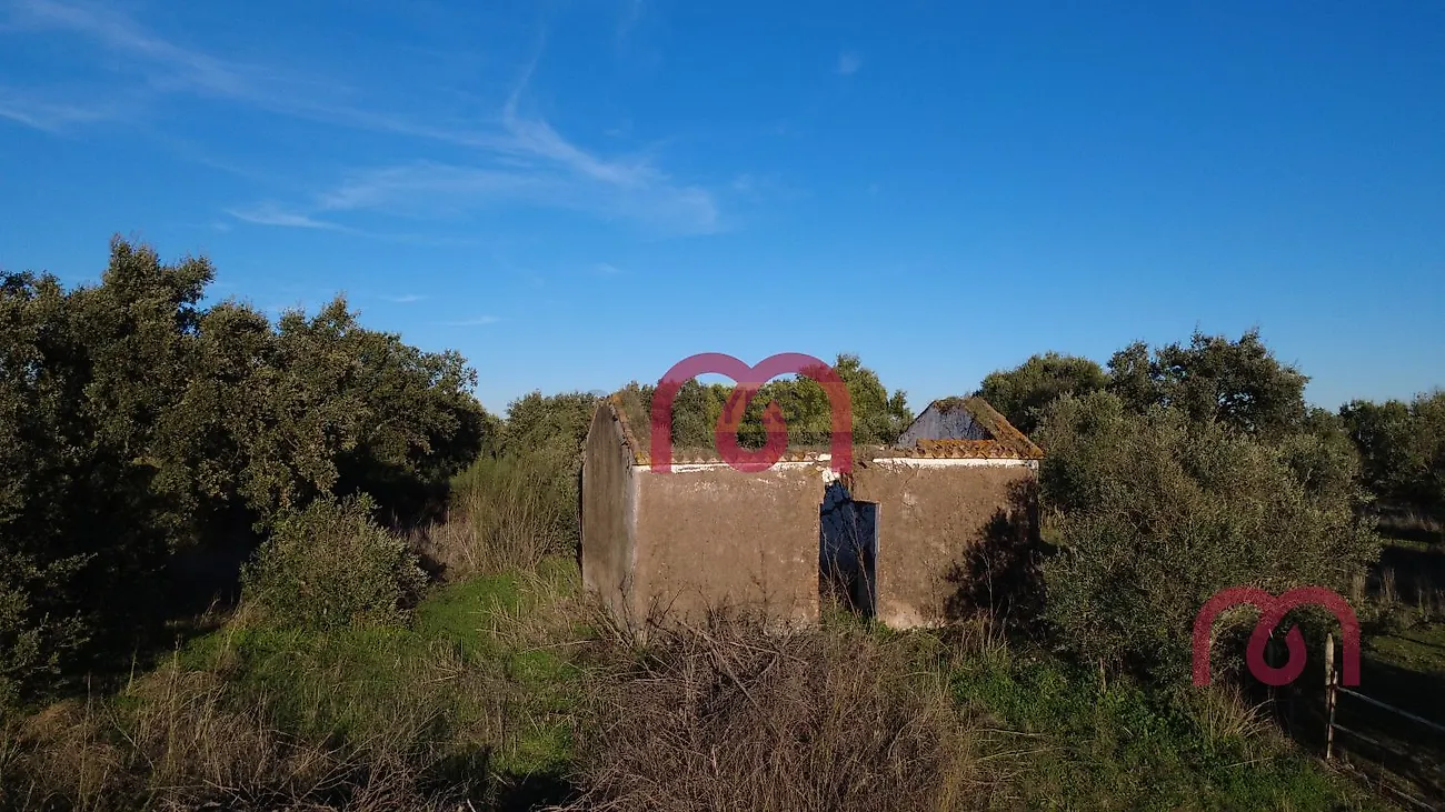 Apartamento T0 à venda em Pardais, Vila Viçosa — foto 7