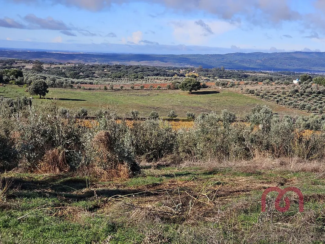 Apartamento T0 à venda em Pardais, Vila Viçosa — foto 13