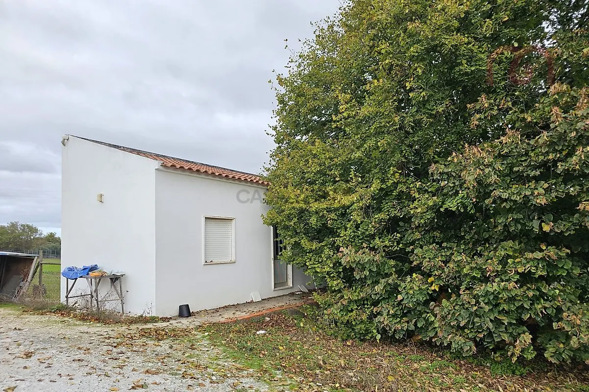 Apartamento T0 à venda em Nossa Senhora da Conceição e São Bartolomeu, Vila Viçosa — foto 20