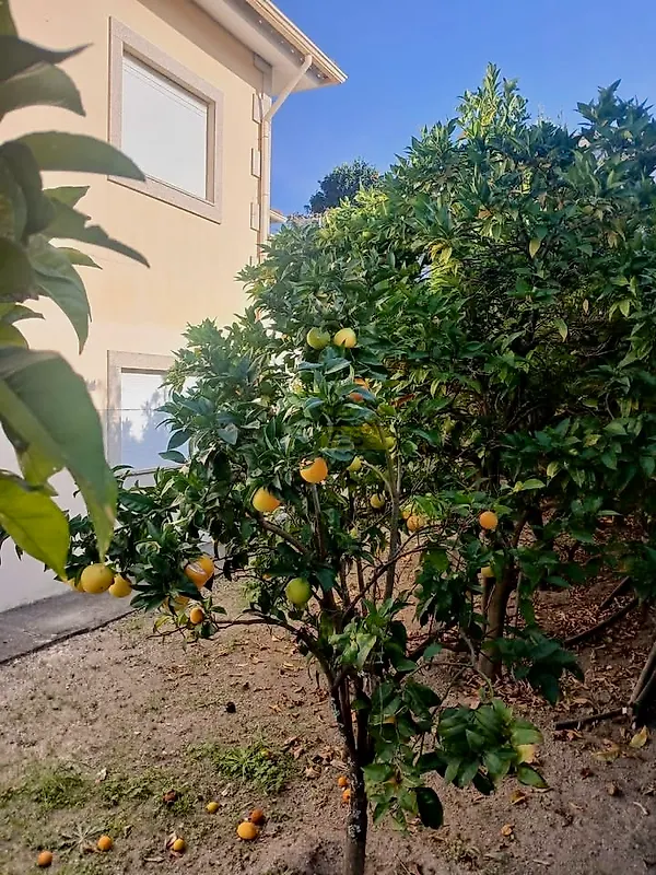 Moradia T0 à venda em Crespos e Pousada, Braga — foto 2