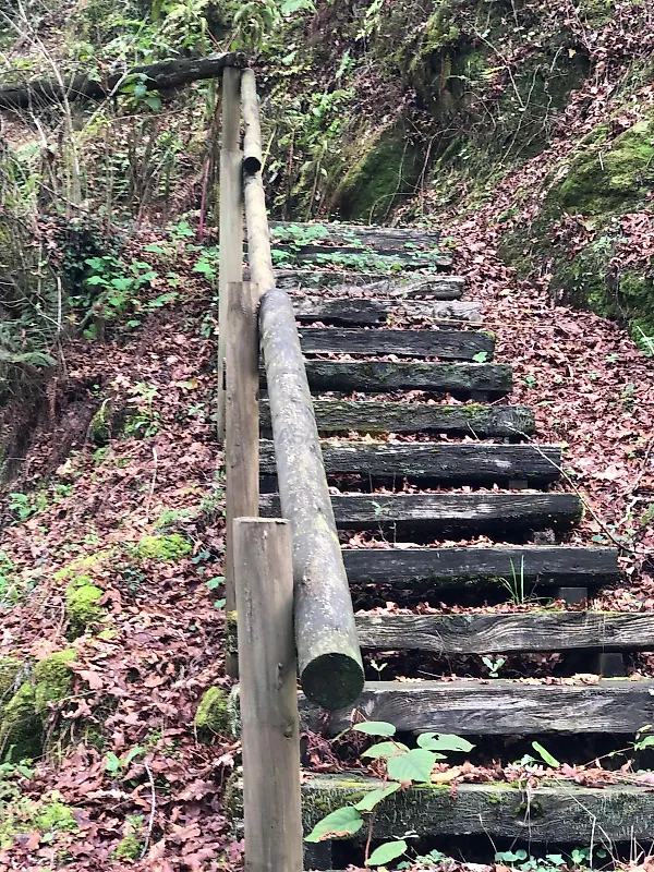 Moradia T2 à venda em Couto de Esteves, Sever do Vouga — foto 13