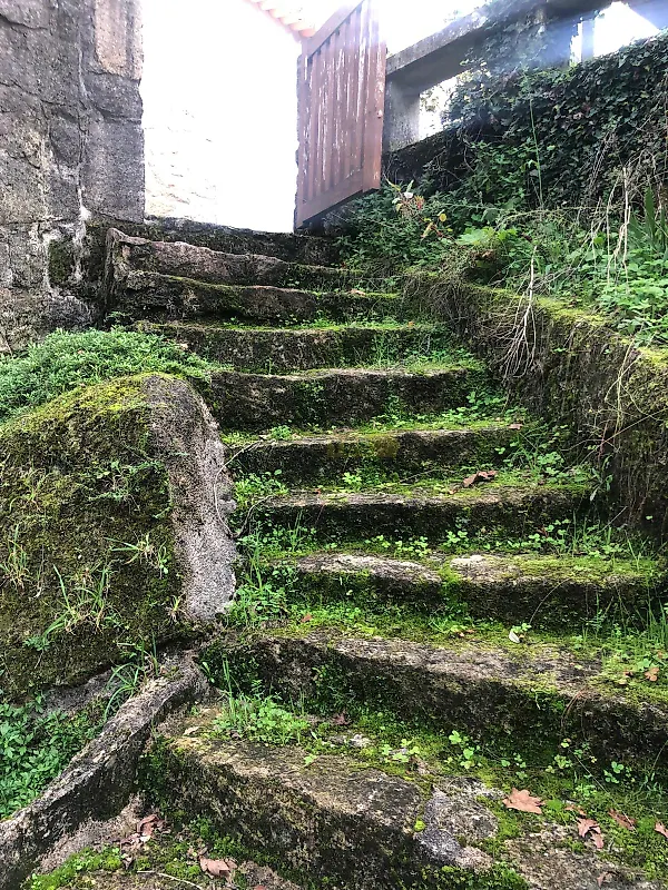 Moradia T2 à venda em Couto de Esteves, Sever do Vouga — foto 14