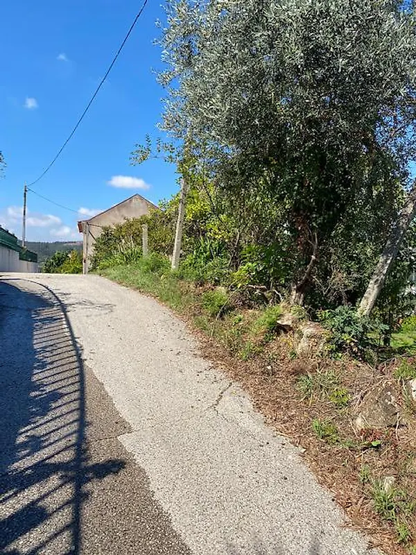 Moradia T3 à venda em Cedrim e Paradela, Sever do Vouga — foto 12