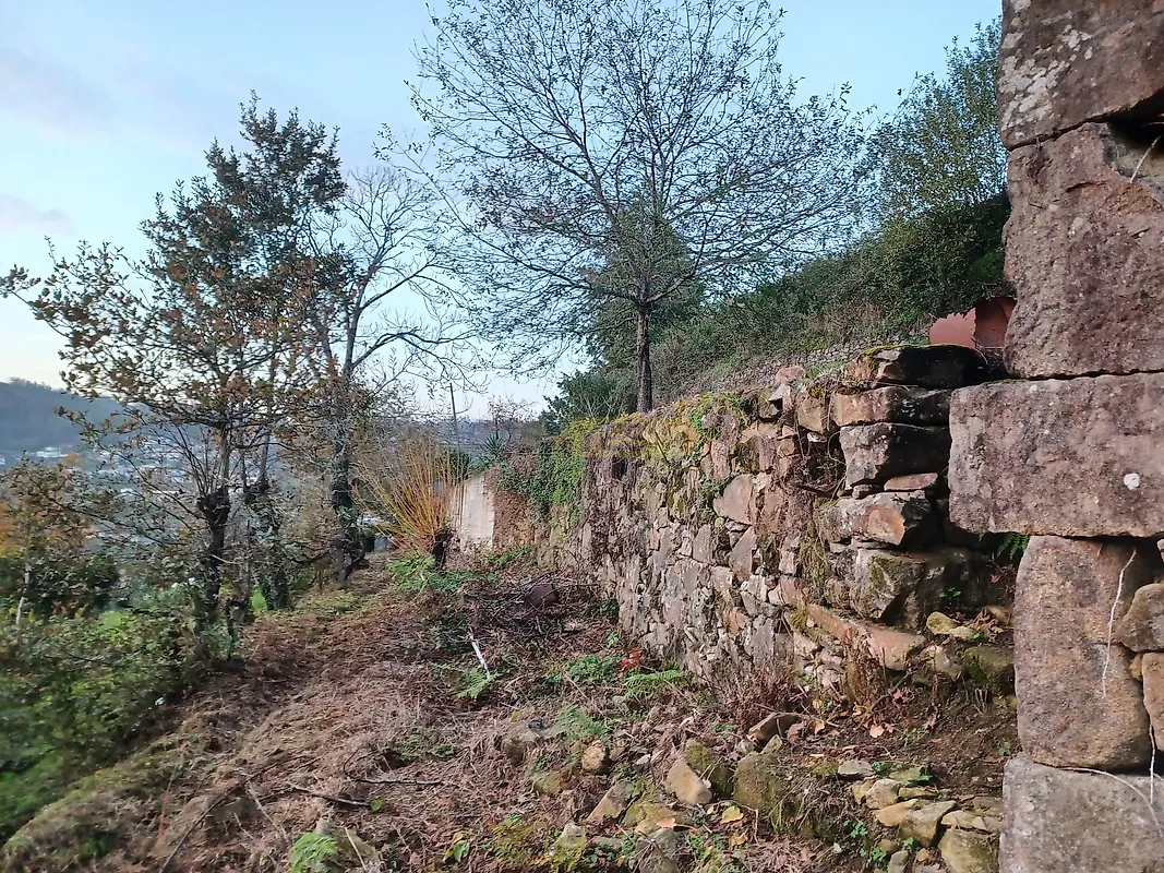 Moradia T5 à venda em Cedrim e Paradela, Sever do Vouga — foto 37