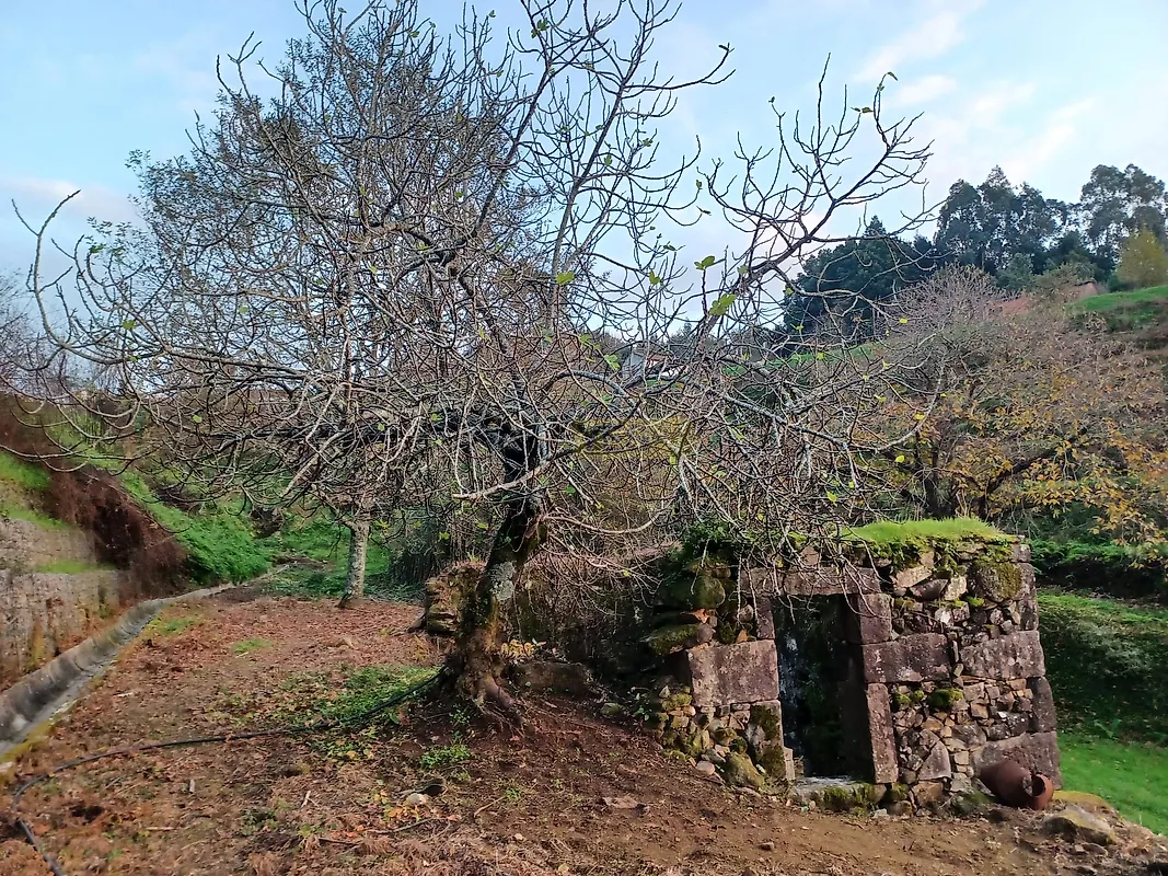 Moradia T5 à venda em Cedrim e Paradela, Sever do Vouga — foto 38