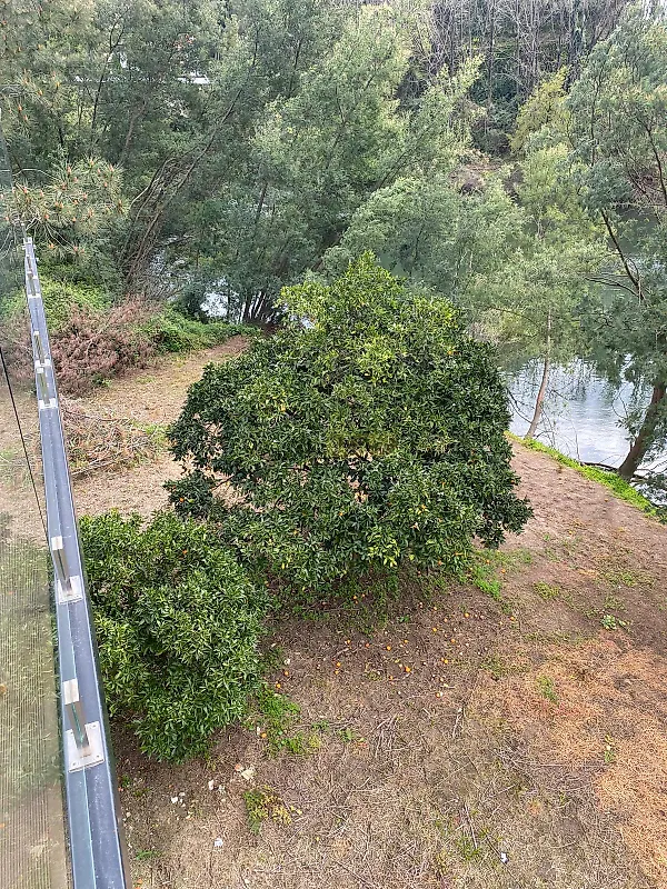 Moradia T2 à venda em Cedrim e Paradela, Sever do Vouga — foto 33