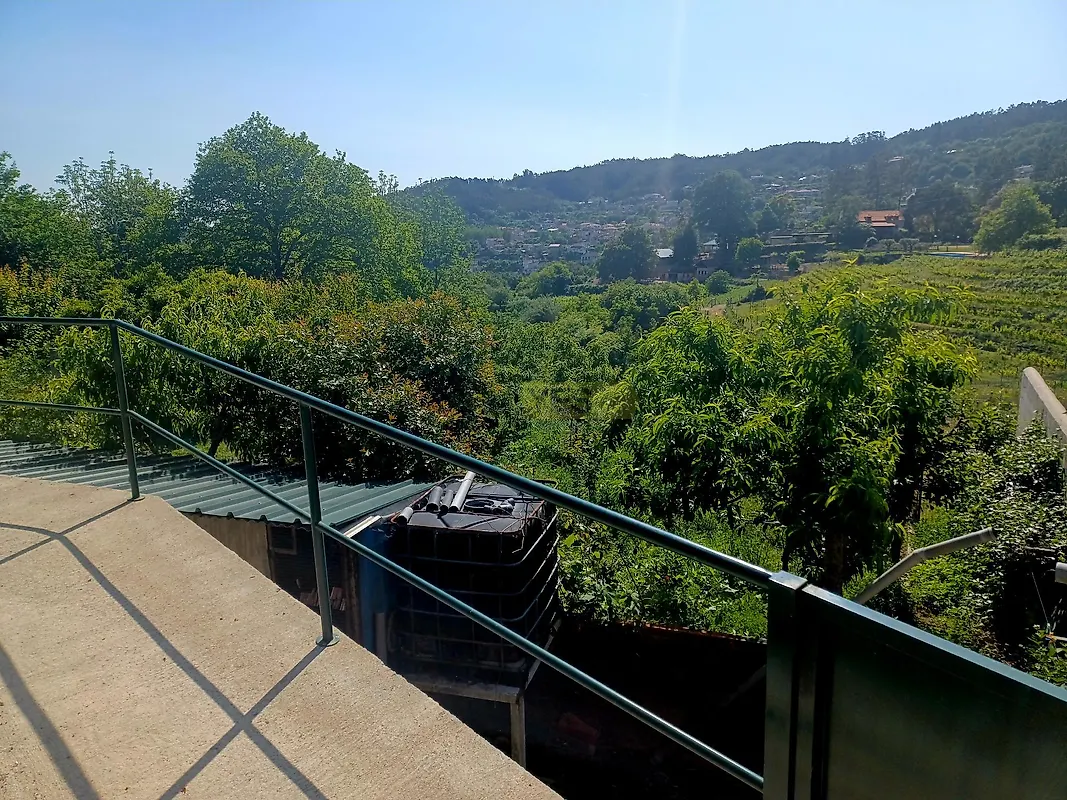 Moradia T4 à venda em Cedrim e Paradela, Sever do Vouga — foto 31